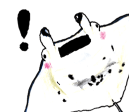 505127024
