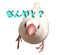 505191273