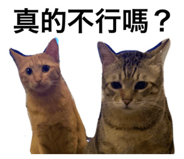 505207244