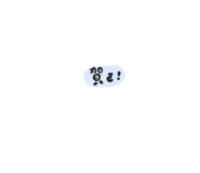 505216089