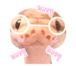 505223382