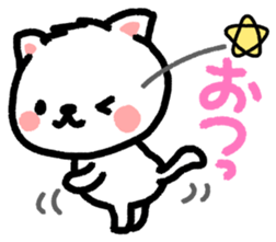 50523369