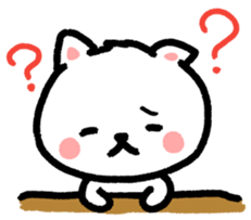 50523381