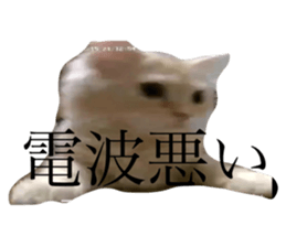505272295