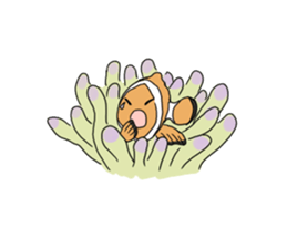 5052737