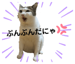 505276469