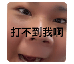 505282264