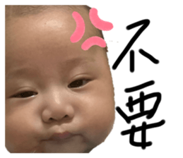 505284449