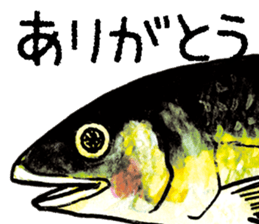 505311554