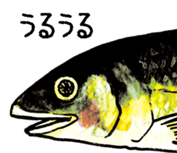 505311756