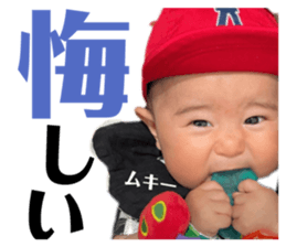 505316628