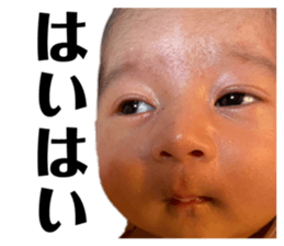 505316631