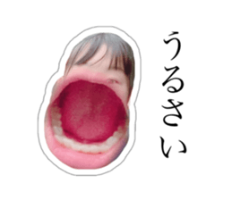 505323055