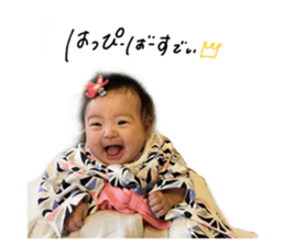 505333237