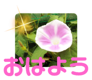 505342530