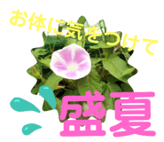 505342533