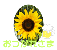 505342536