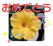 505342545
