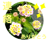 505342561