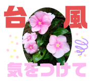 505342563