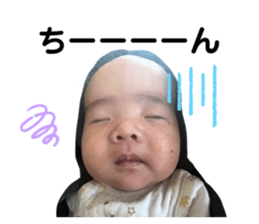 505350272