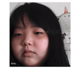 505352884