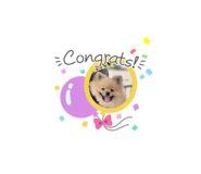 505373796