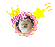 505373798