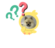 505373803