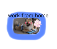 505373815
