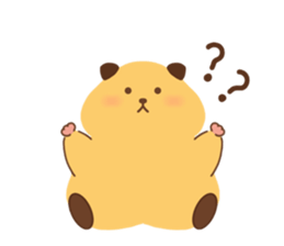 505374321