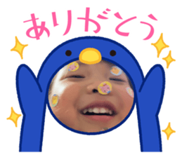505377310