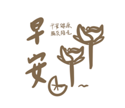 505377647