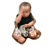 505377752