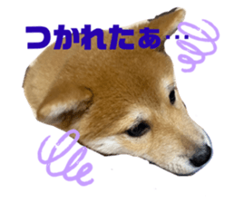 505402605
