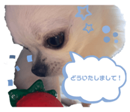 505404879