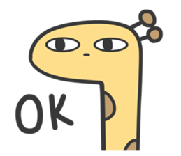 505416524