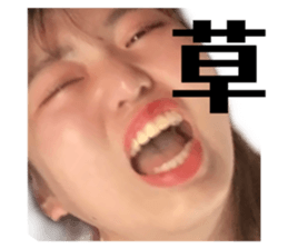 505418431