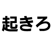 505419538