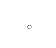 505419541