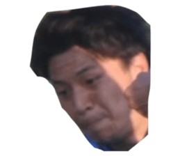 505428686