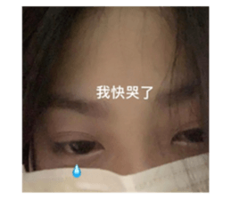 505430729
