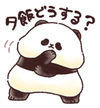 505438951