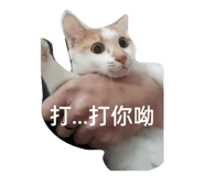505500897