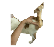 505500899