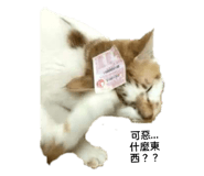 505500900