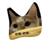 505500904