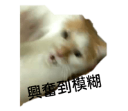 505500906