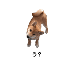 505504852
