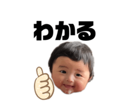 505519846
